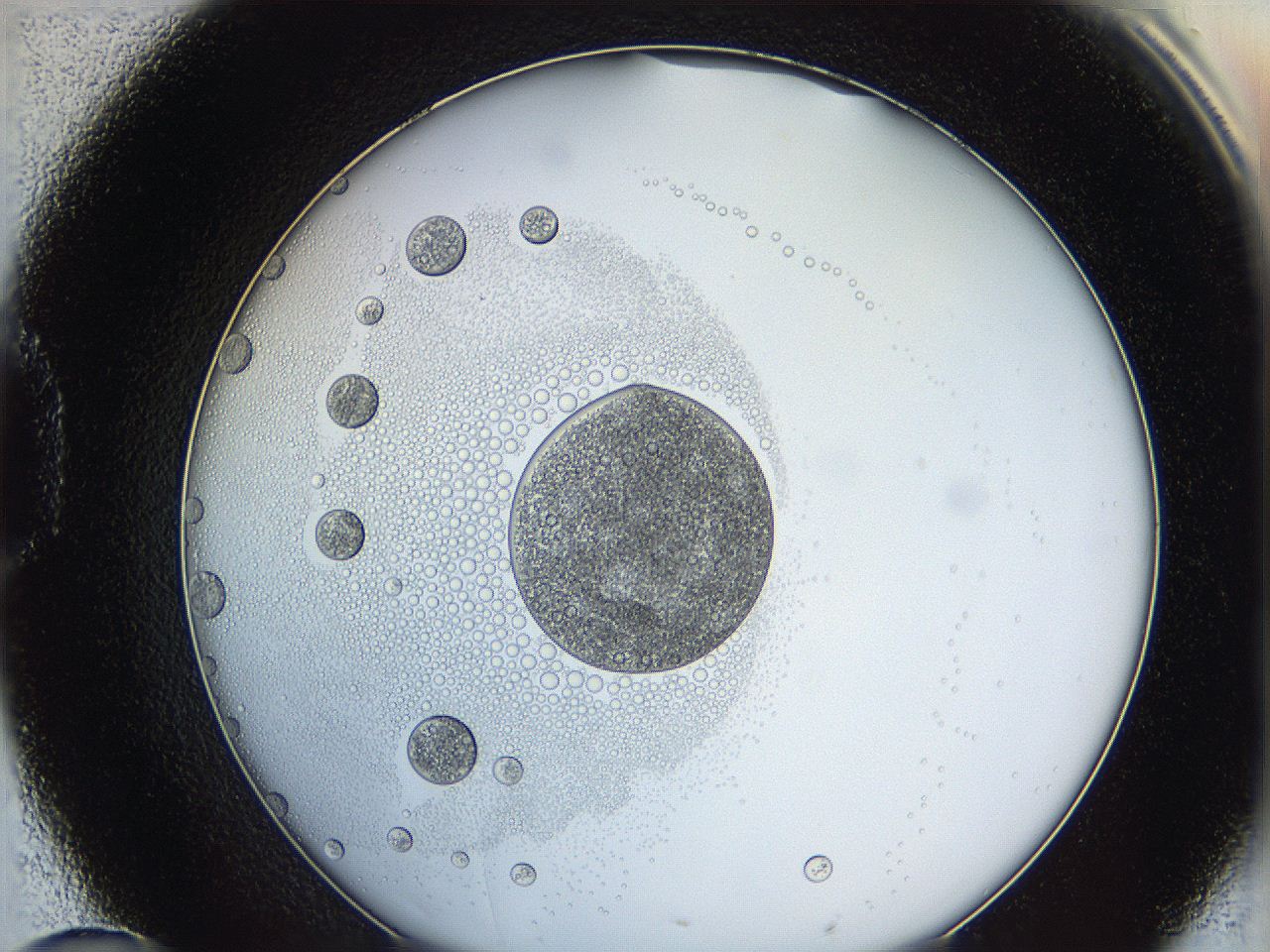 062a_D10_ImagerDefaults_5.jpg
