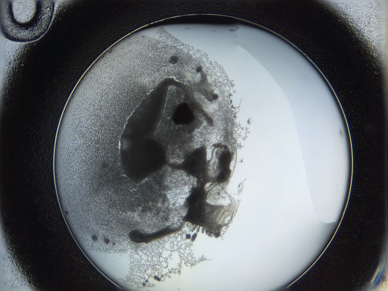 062a_D10_ImagerDefaults_3.jpg