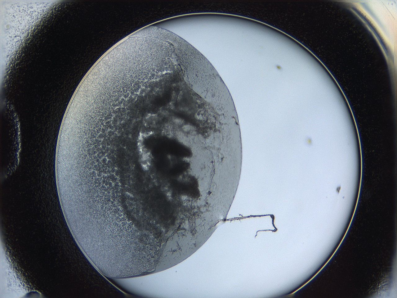 062a_D11_ImagerDefaults_3.jpg