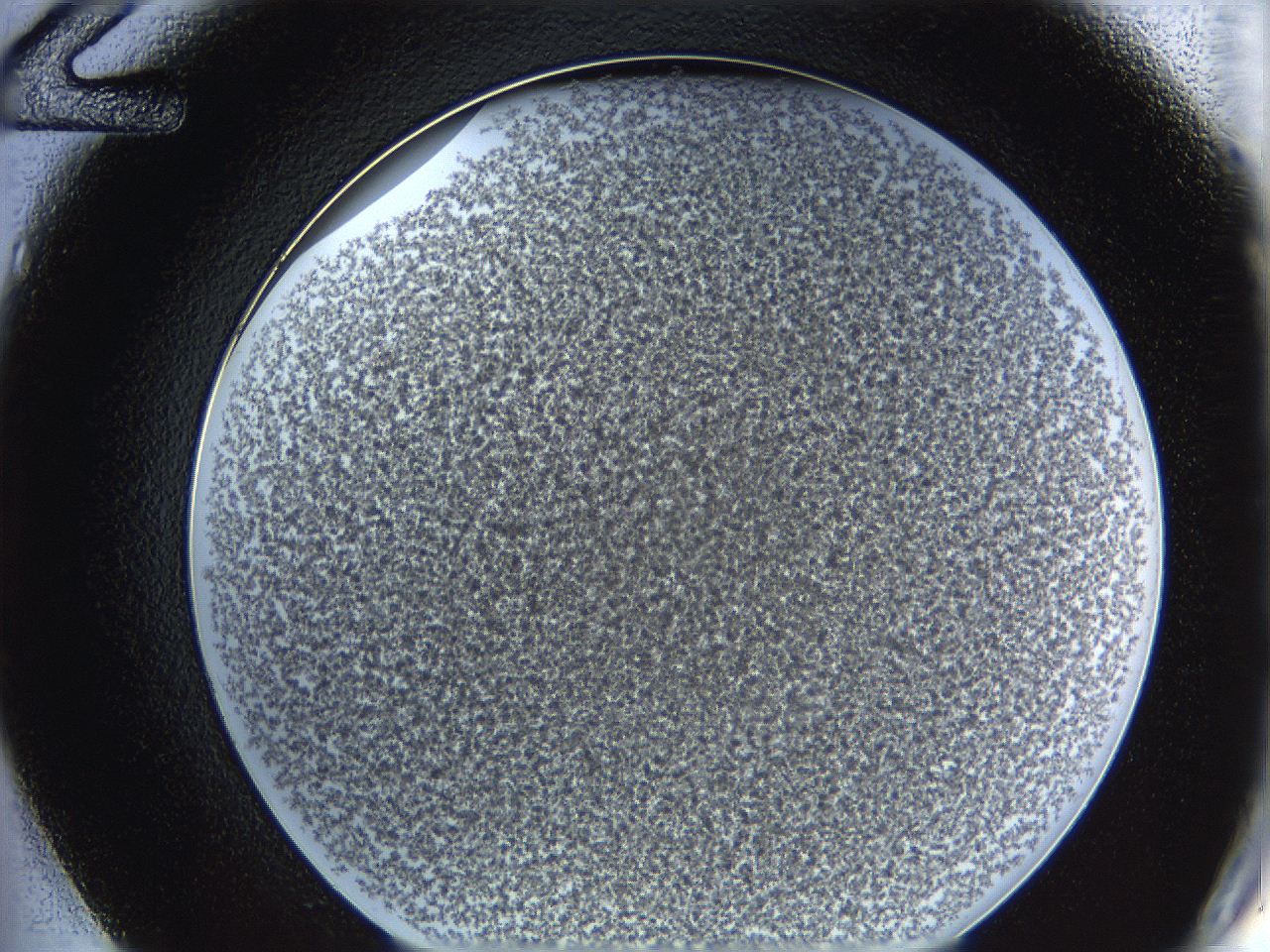 062a_D12_ImagerDefaults_6.jpg