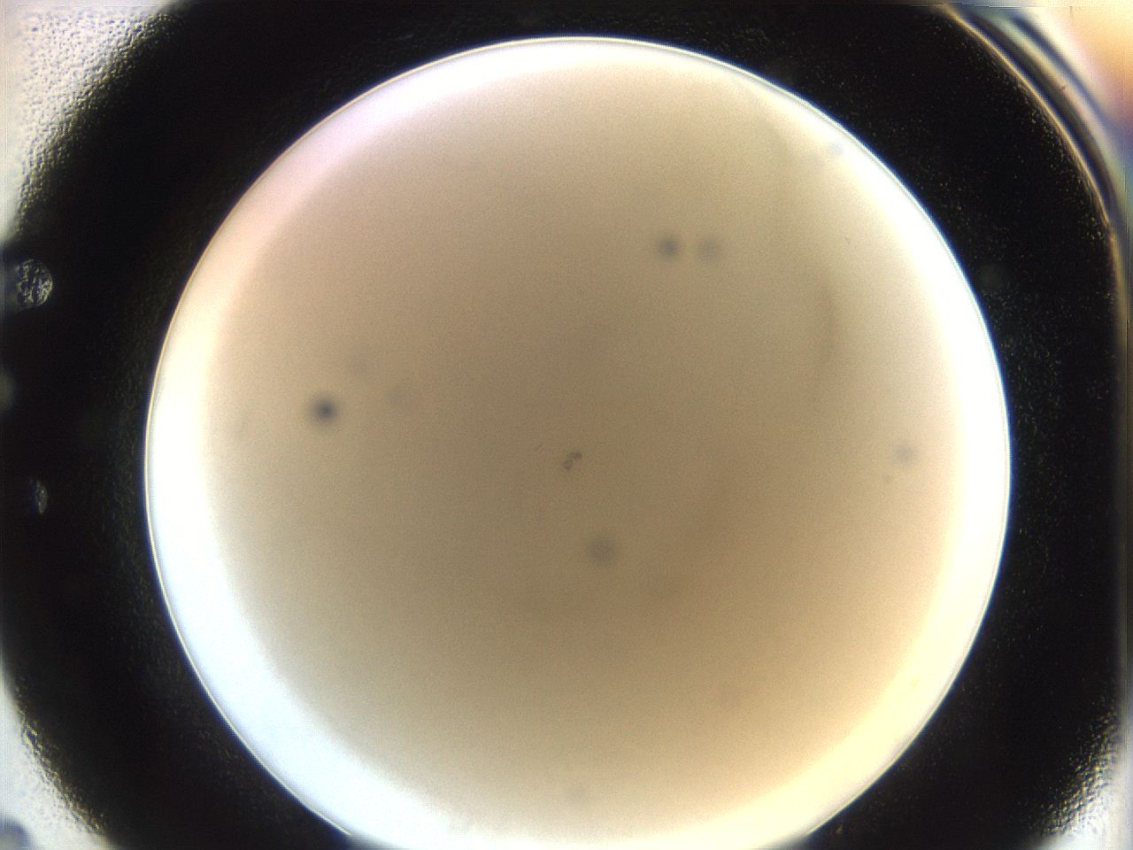 062a_E4_ImagerDefaults_0.jpg