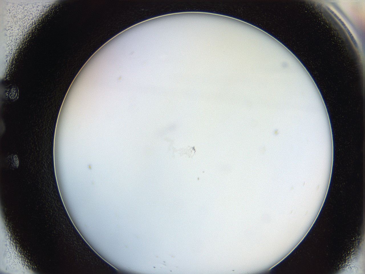 062a_E9_ImagerDefaults_0.jpg