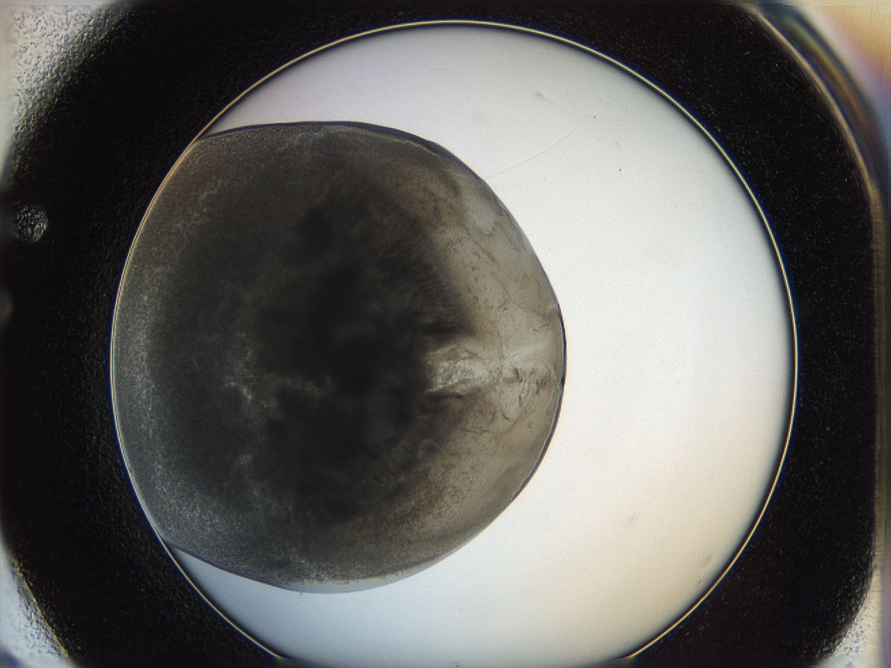 062a_F2_ImagerDefaults_3.jpg