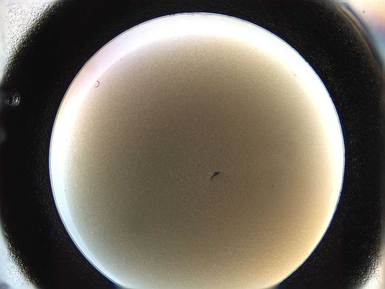 062a_F5_ImagerDefaults_0.jpg