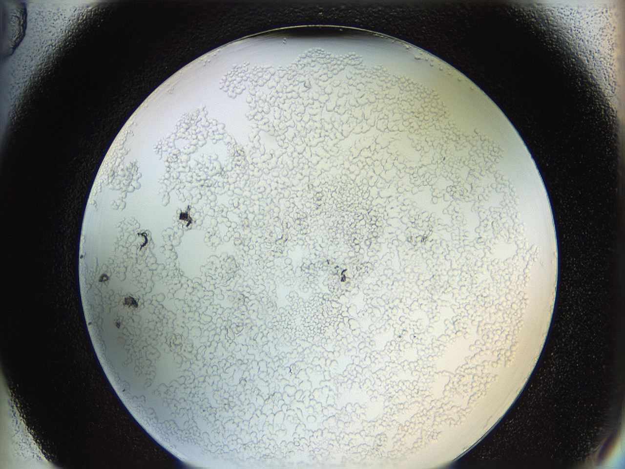 062a_F5_ImagerDefaults_5.jpg