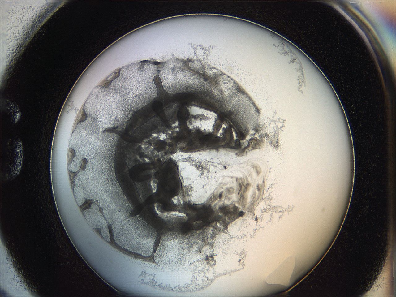 062a_G2_ImagerDefaults_5.jpg