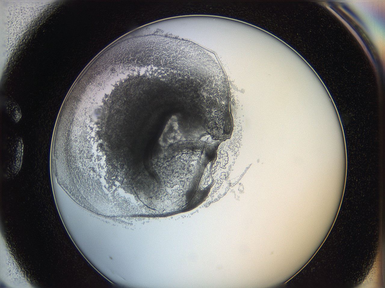 062a_G3_ImagerDefaults_5.jpg