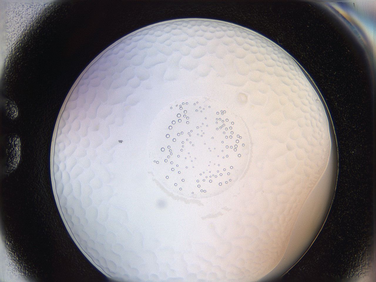 062a_G8_ImagerDefaults_5.jpg