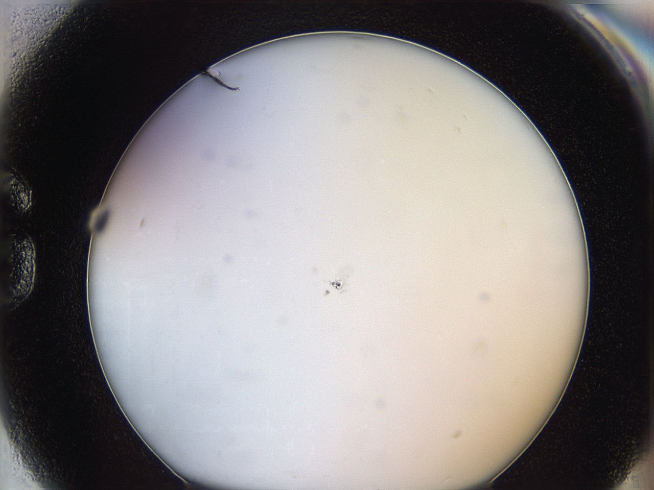 062a_G9_ImagerDefaults_0.jpg