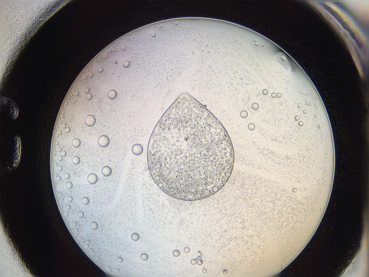 062a_G11_ImagerDefaults_5.jpg