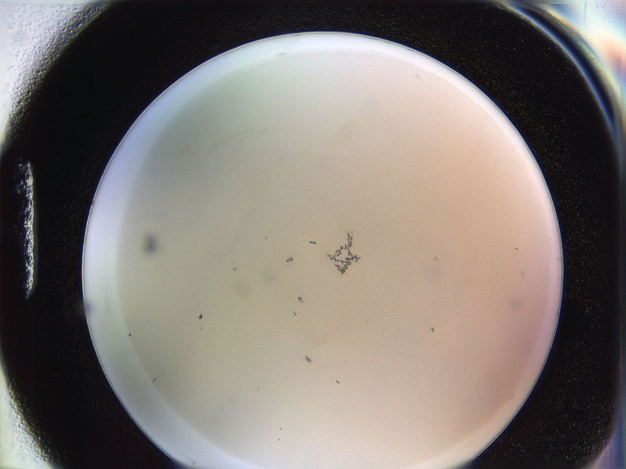 062a_H7_ImagerDefaults_1.jpg