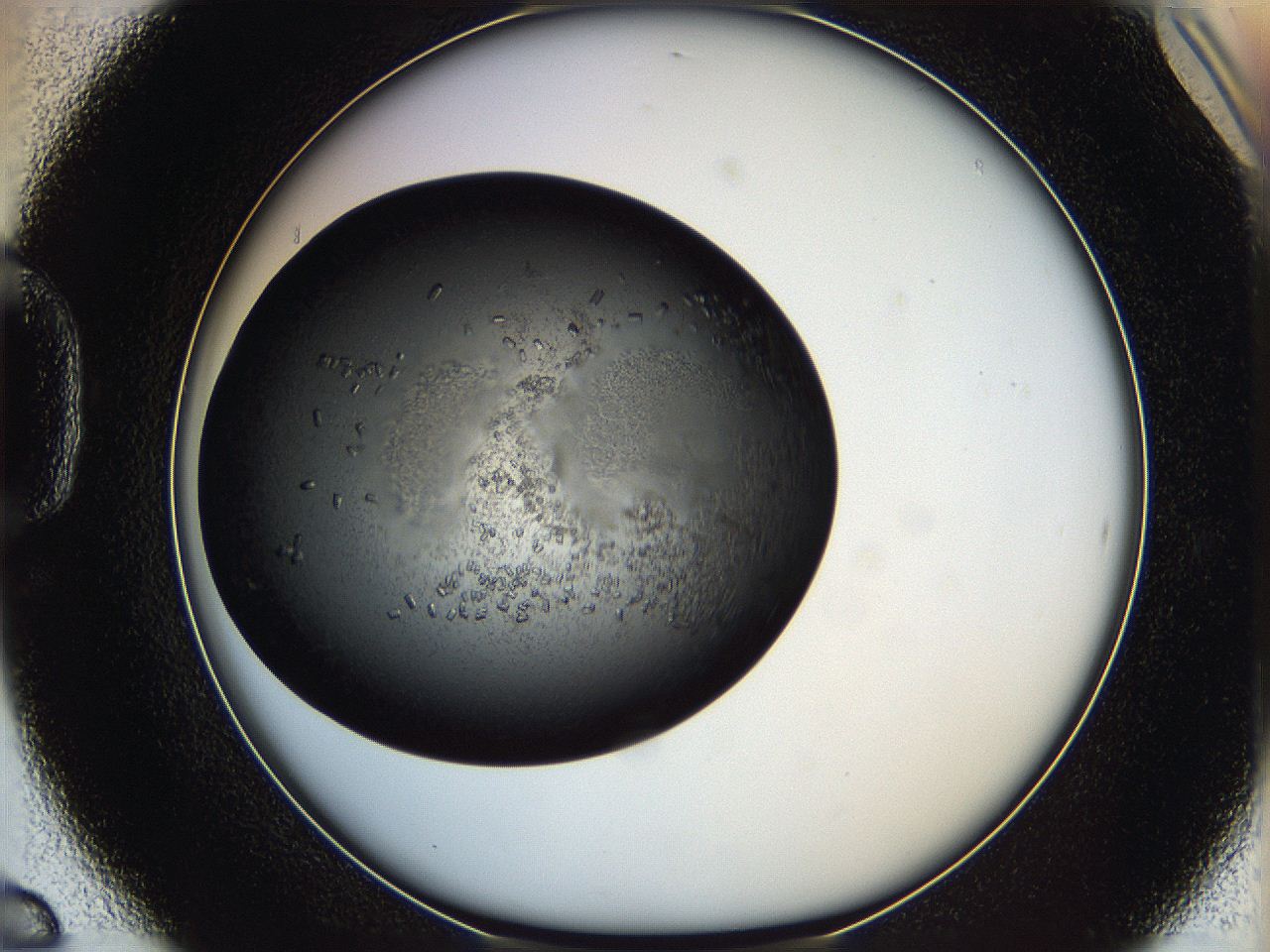 062c_D6_ImagerDefaults_7.jpg