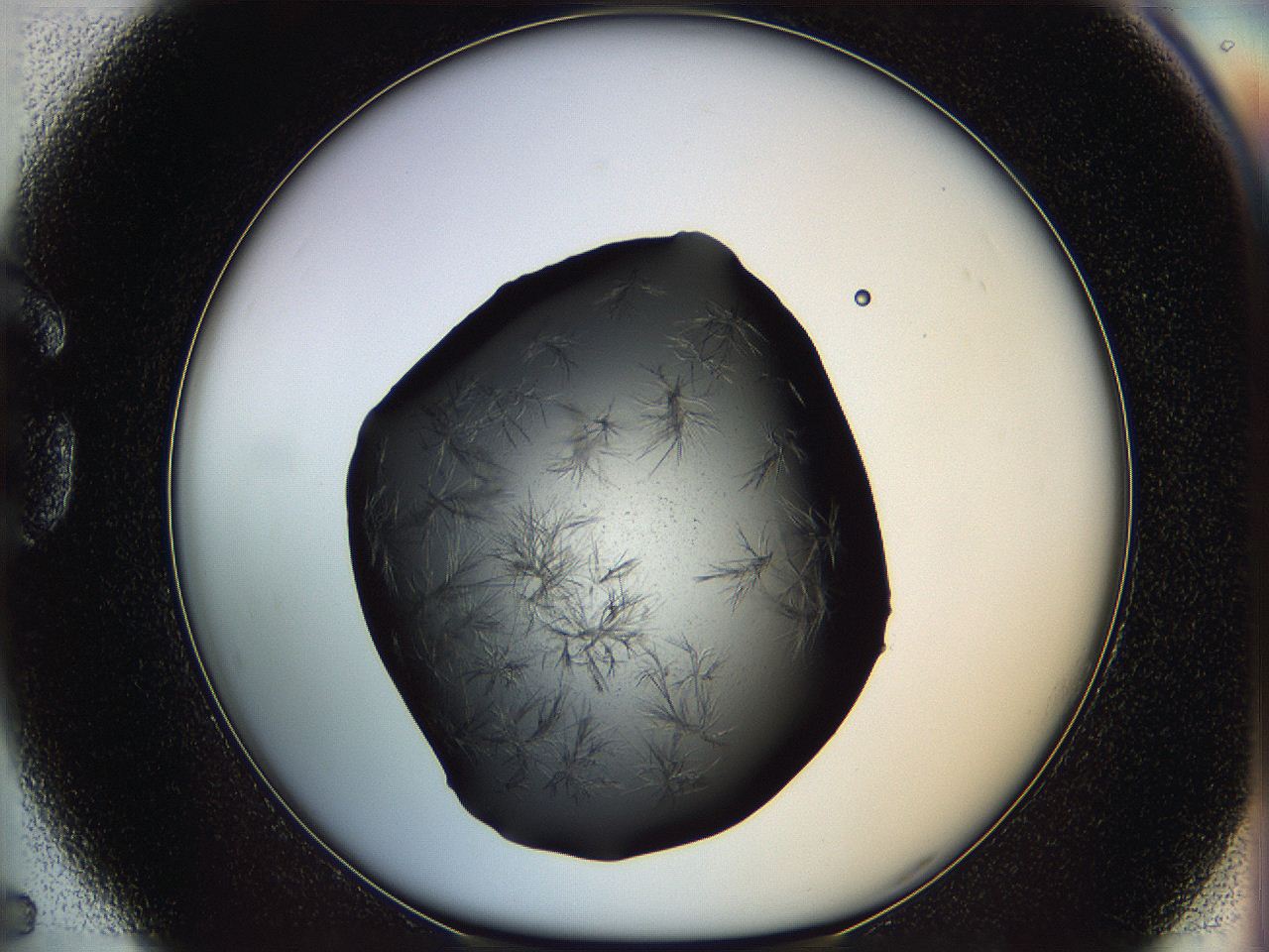 062c_G5_ImagerDefaults_6.jpg