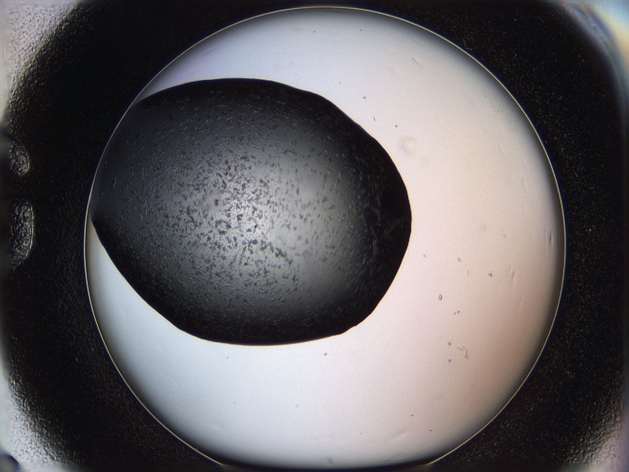 062c_G8_ImagerDefaults_6.jpg