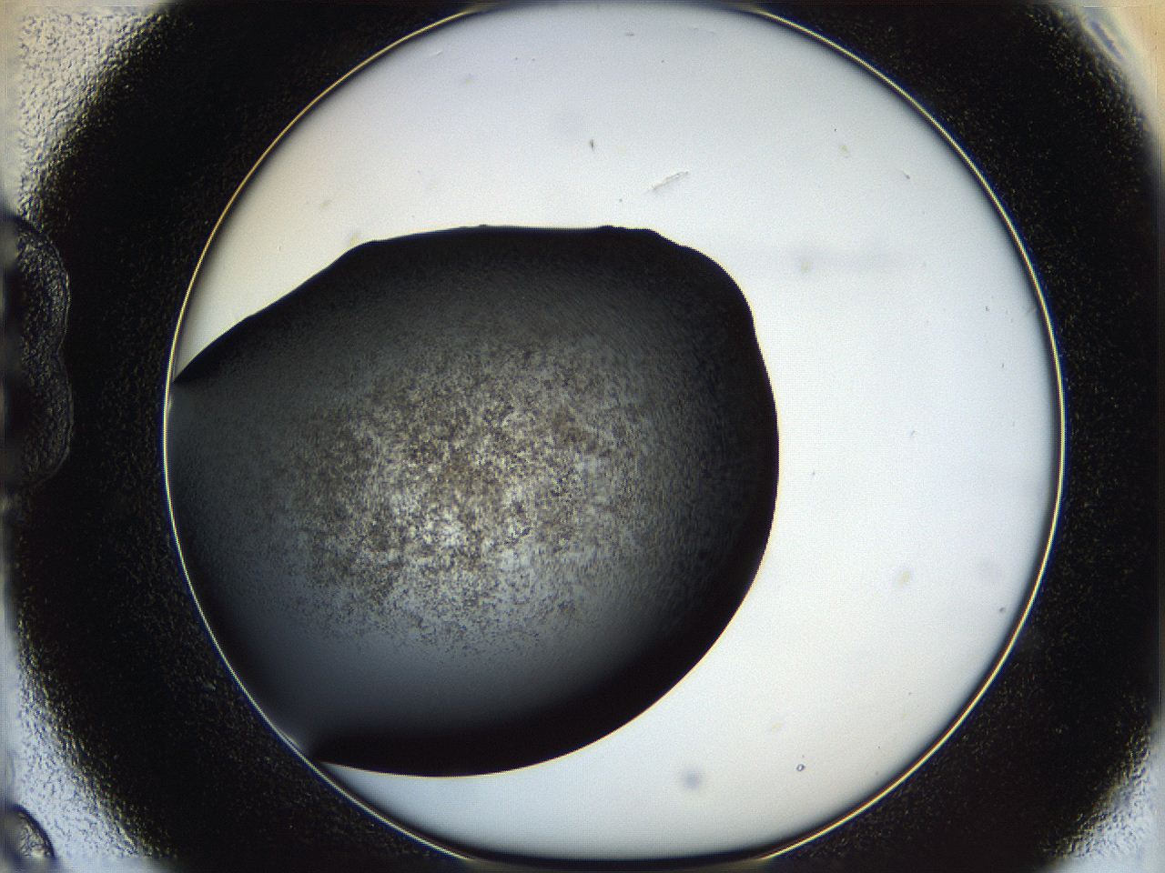 062c_B9_ImagerDefaults_6.jpg