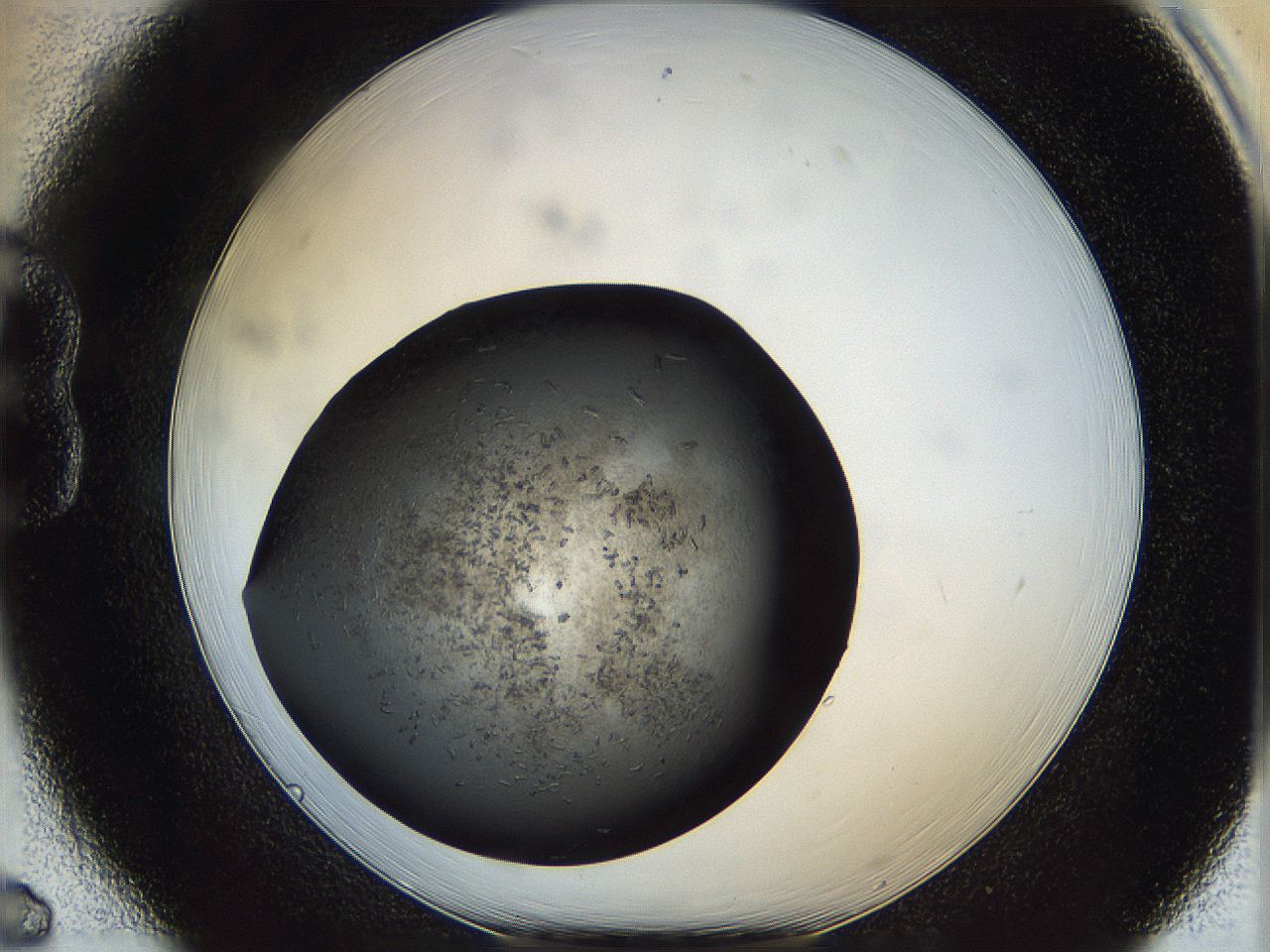 062c_B6_ImagerDefaults_6.jpg