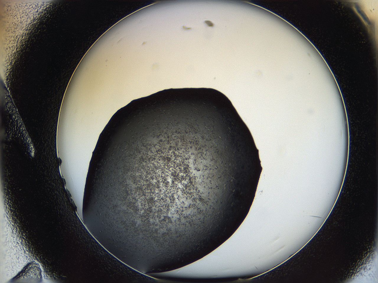 062c_A11_ImagerDefaults_6.jpg