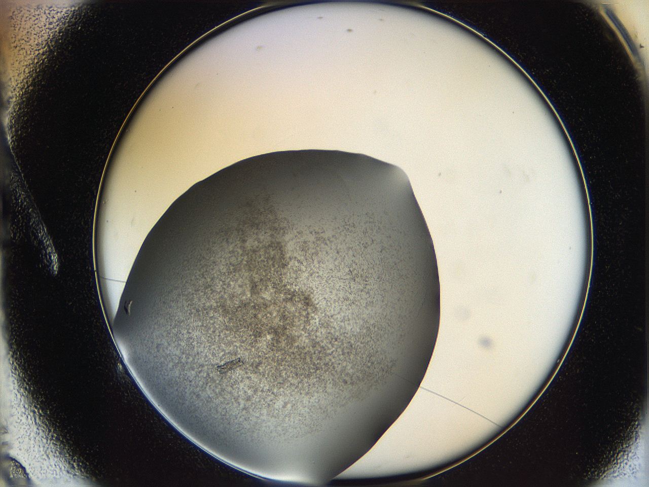 062c_A9_ImagerDefaults_6.jpg