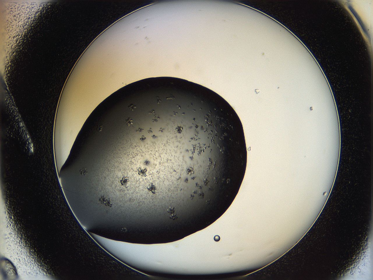 062c_A8_ImagerDefaults_7.jpg