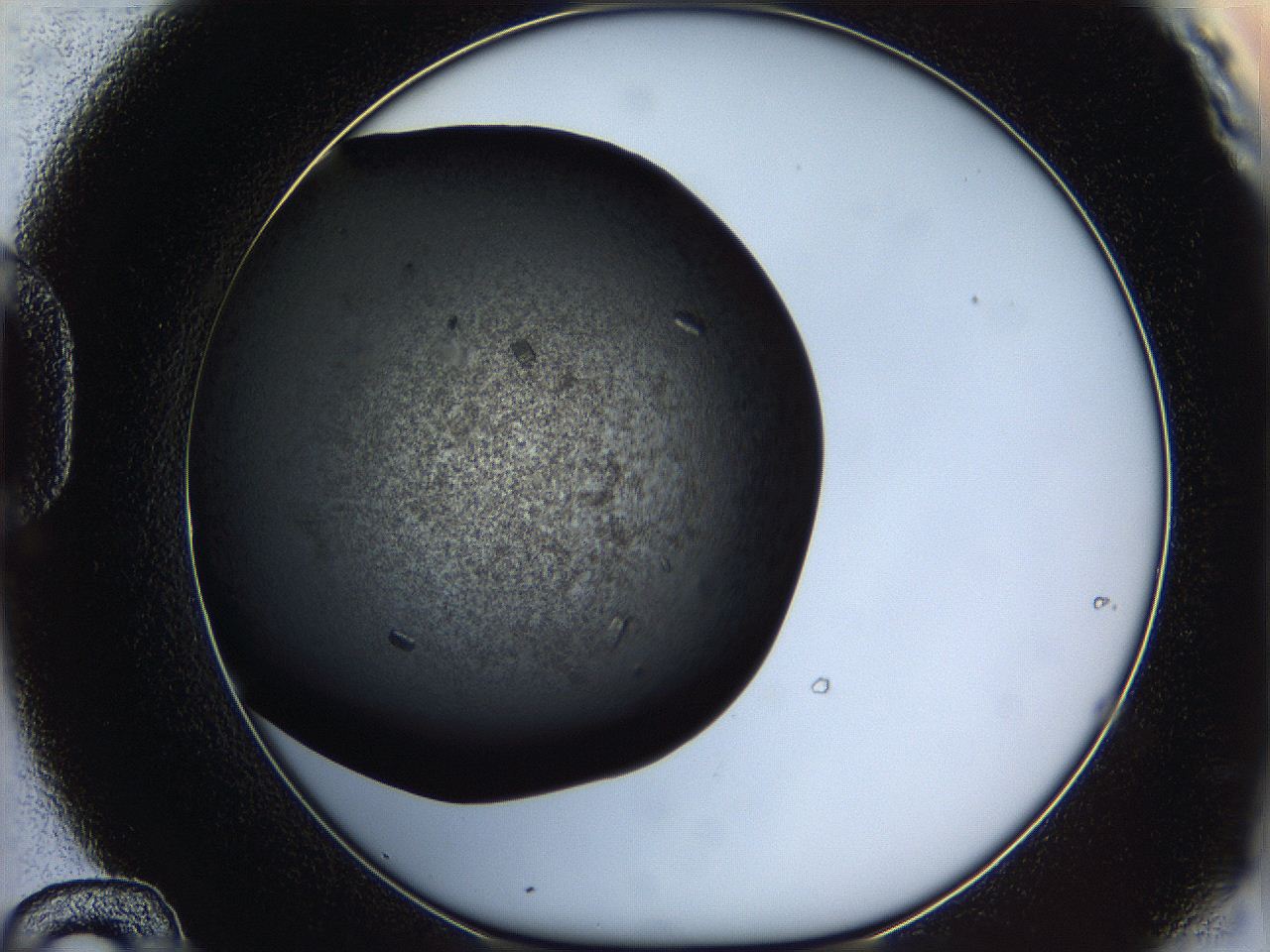 062c_D12_ImagerDefaults_8.jpg
