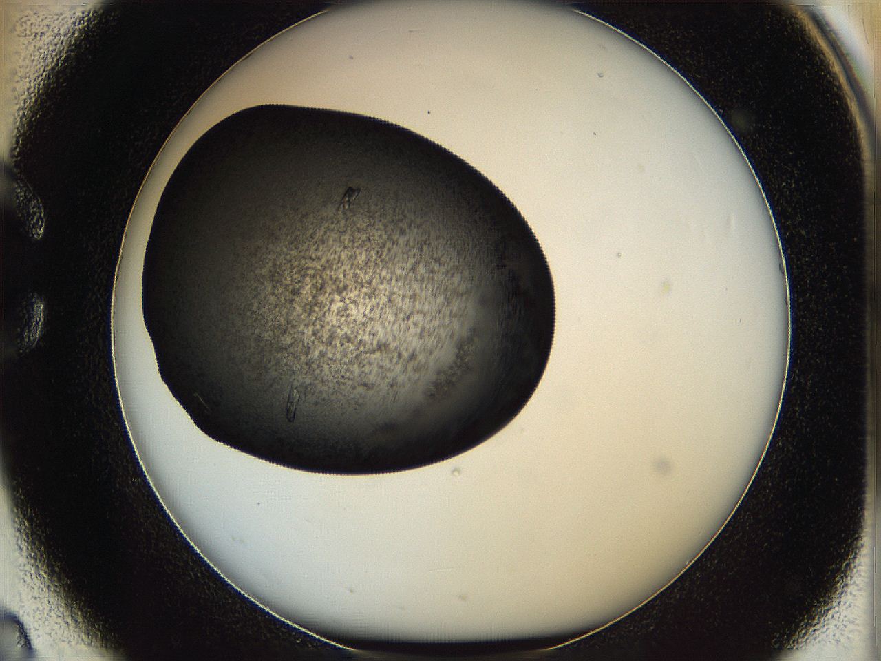 062c_C2_ImagerDefaults_7.jpg