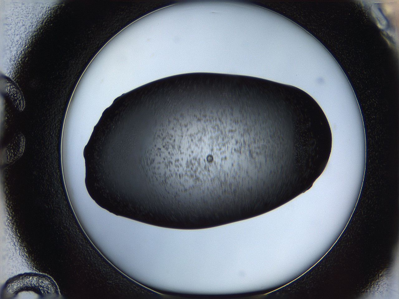 062c_C12_ImagerDefaults_6.jpg