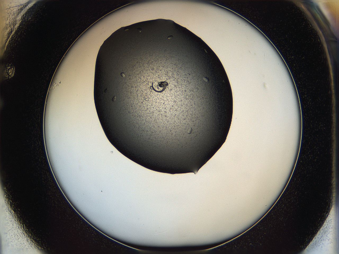 062c_F1_ImagerDefaults_8.jpg