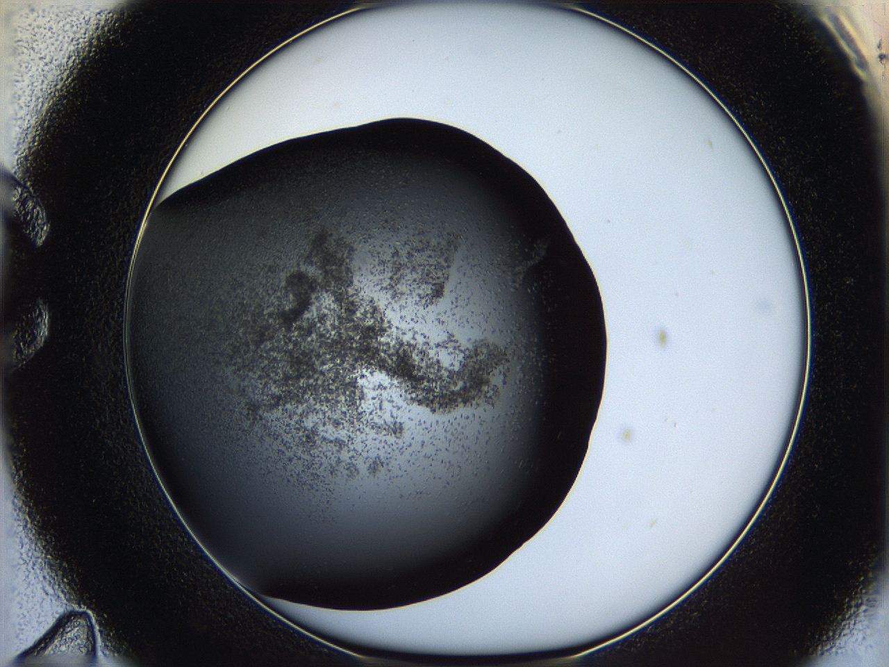 062c_C11_ImagerDefaults_6.jpg