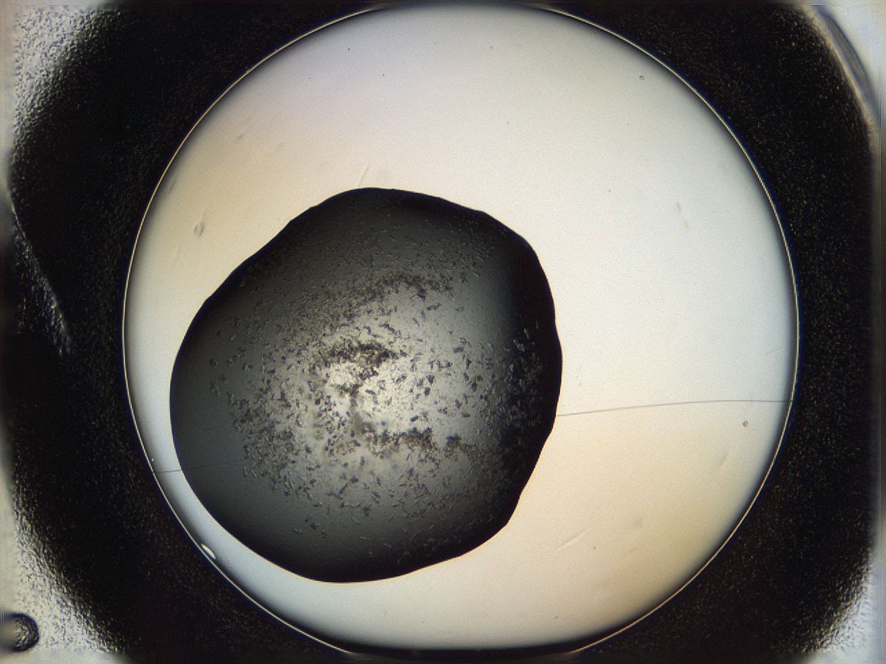 062c_A5_ImagerDefaults_6.jpg