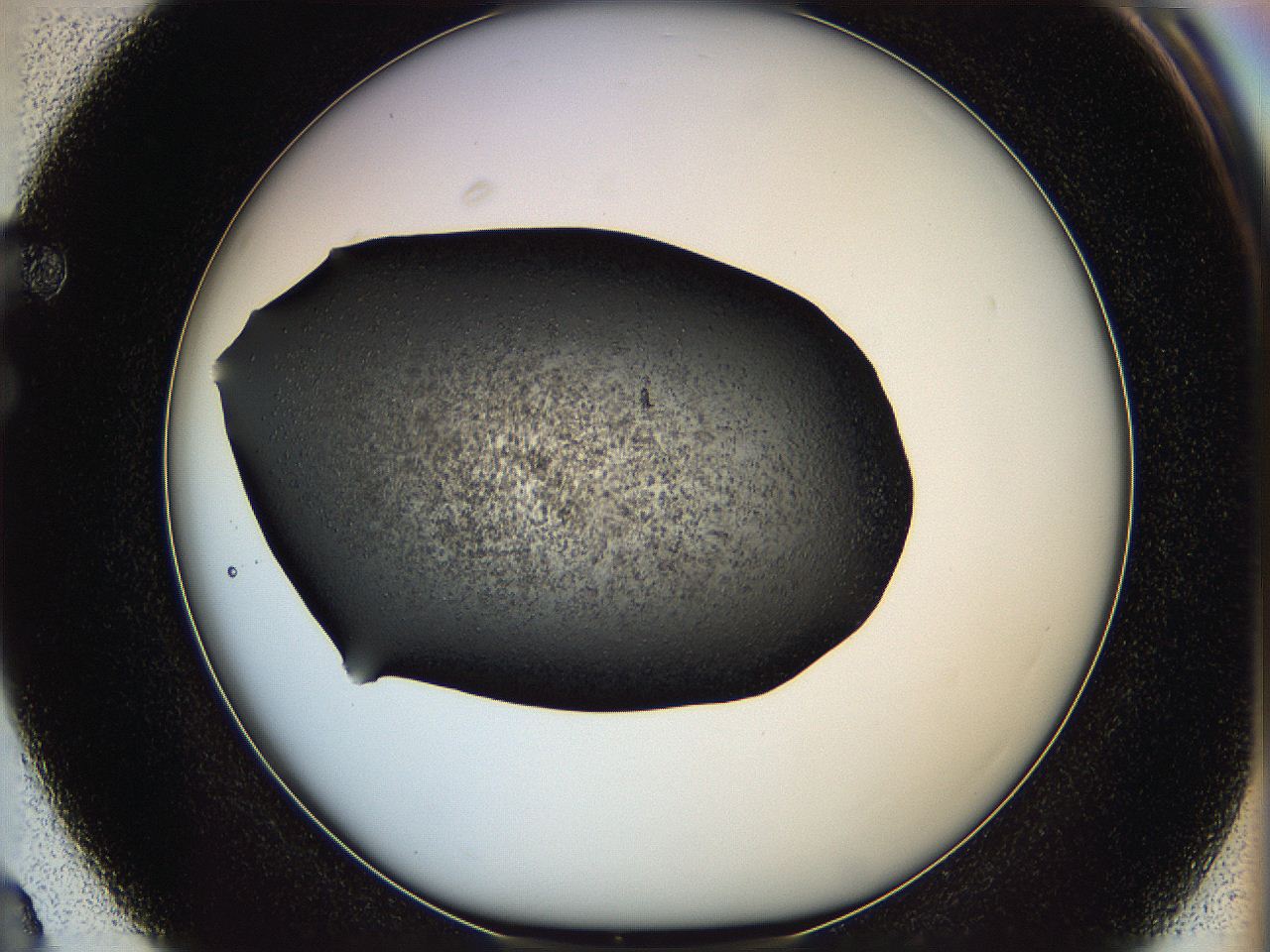 062c_F3_ImagerDefaults_6.jpg
