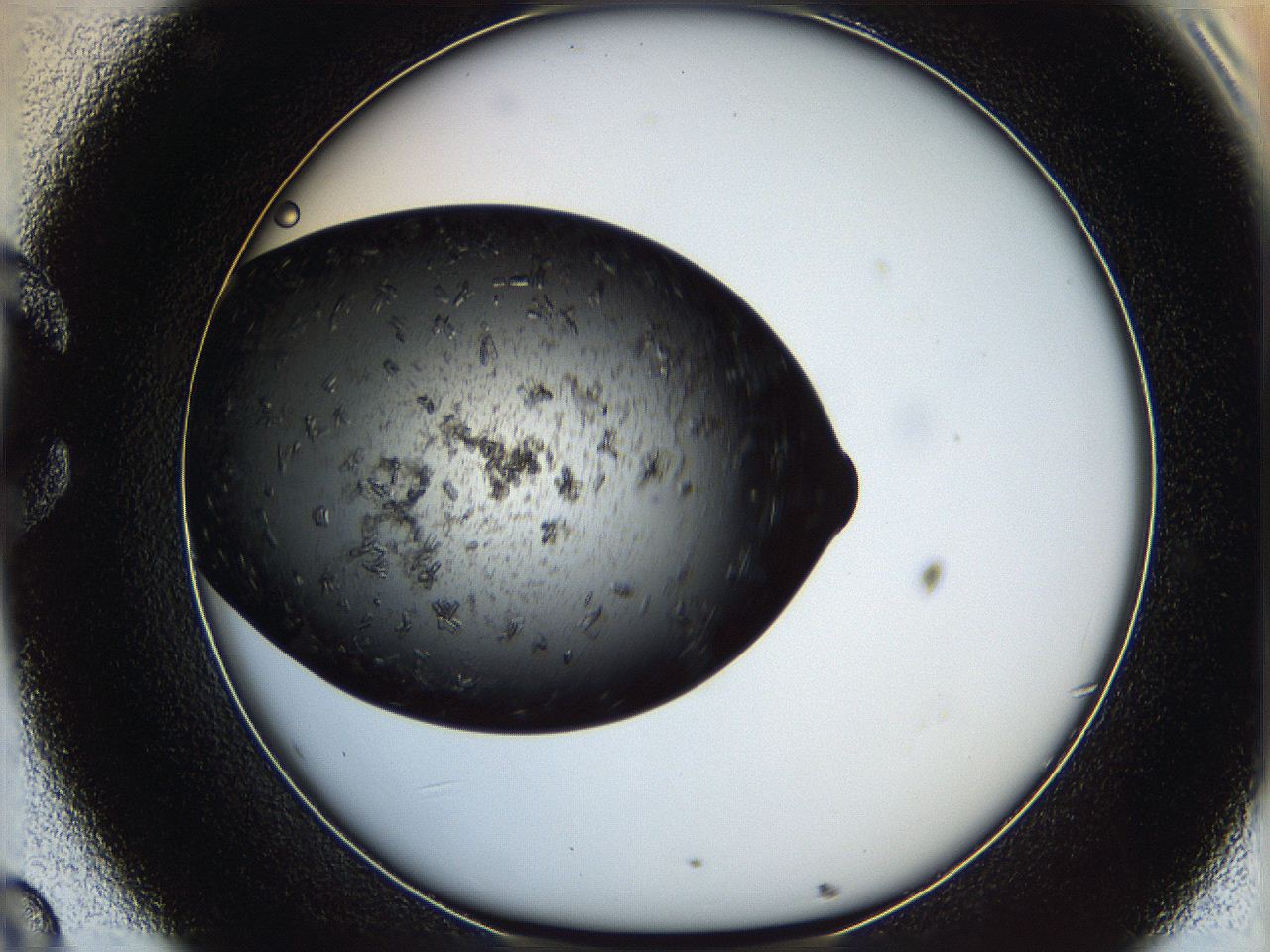 062c_C8_ImagerDefaults_7.jpg