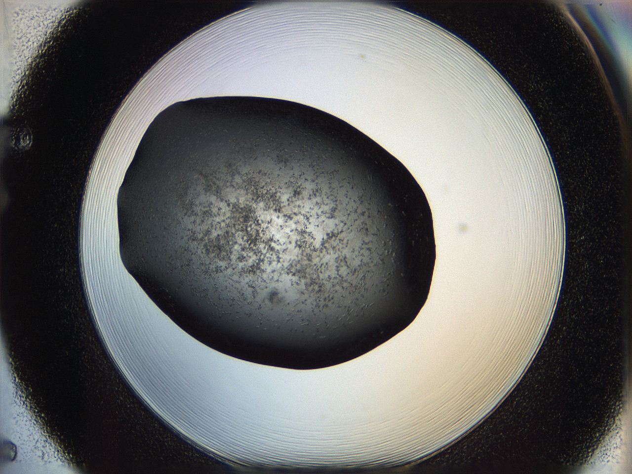 062c_F5_ImagerDefaults_6.jpg