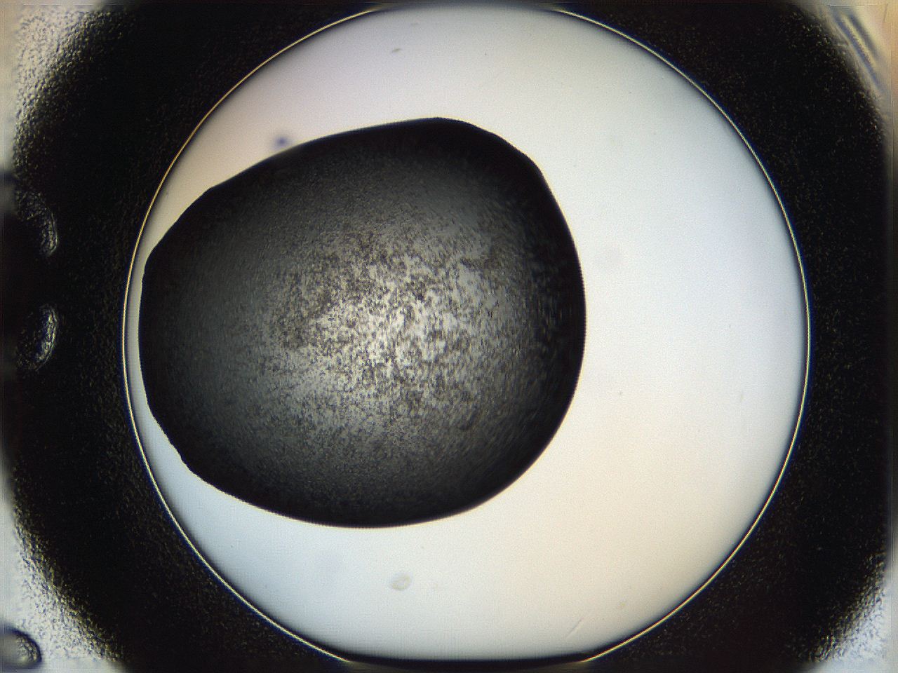 062c_C6_ImagerDefaults_6.jpg
