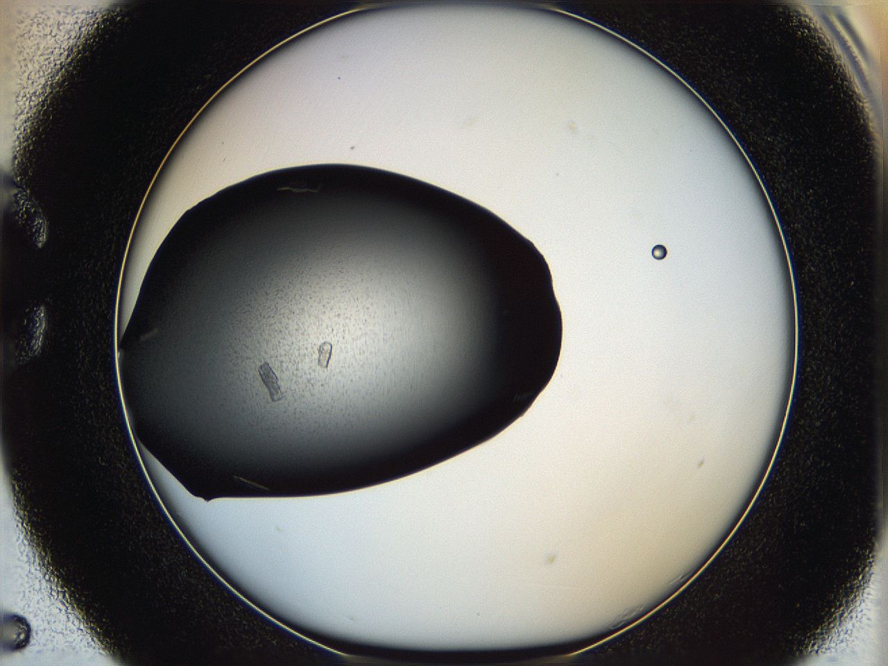 062c_C5_ImagerDefaults_8.jpg