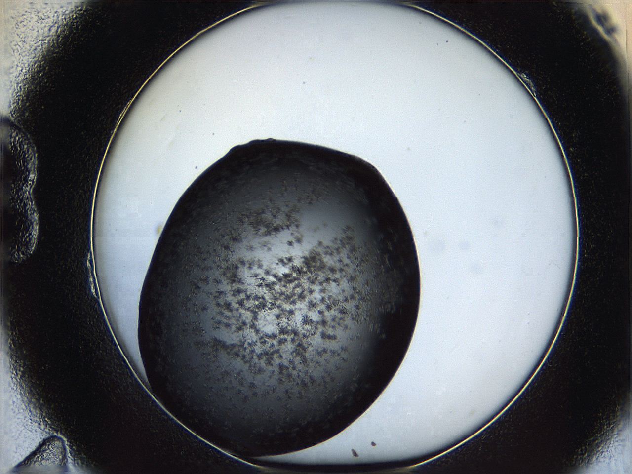 062c_B11_ImagerDefaults_6.jpg