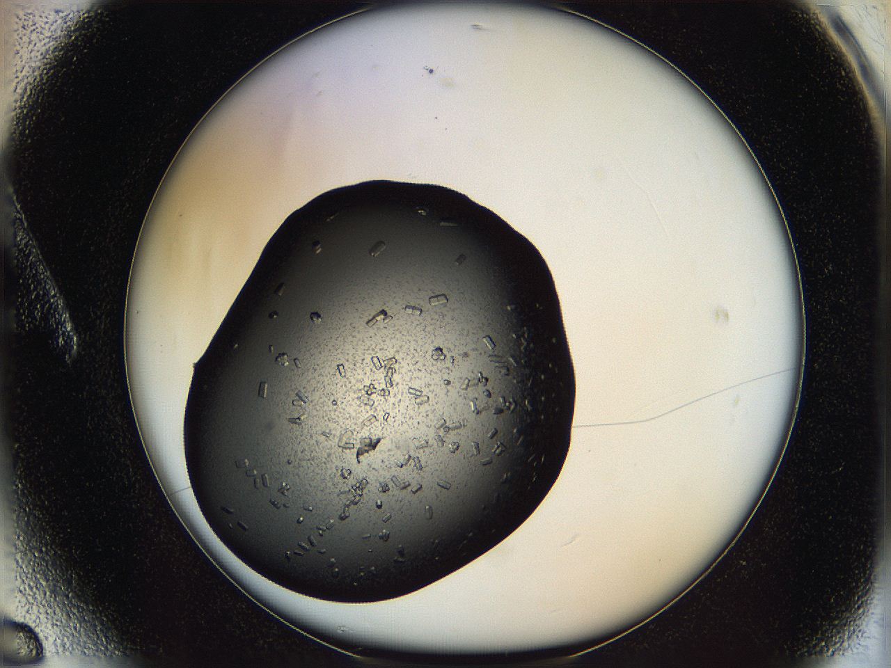 062c_A6_ImagerDefaults_8.jpg