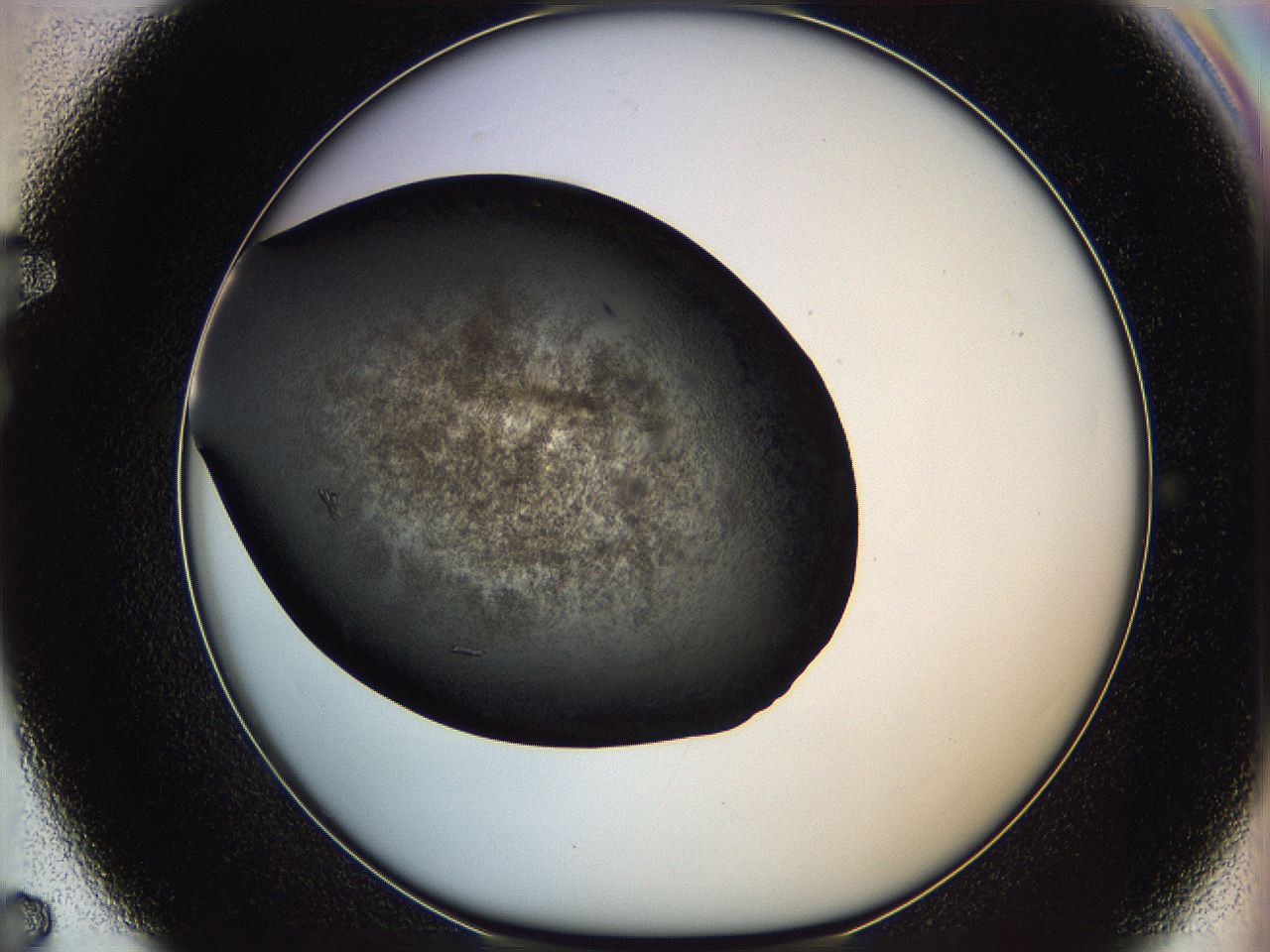 062c_F7_ImagerDefaults_7.jpg
