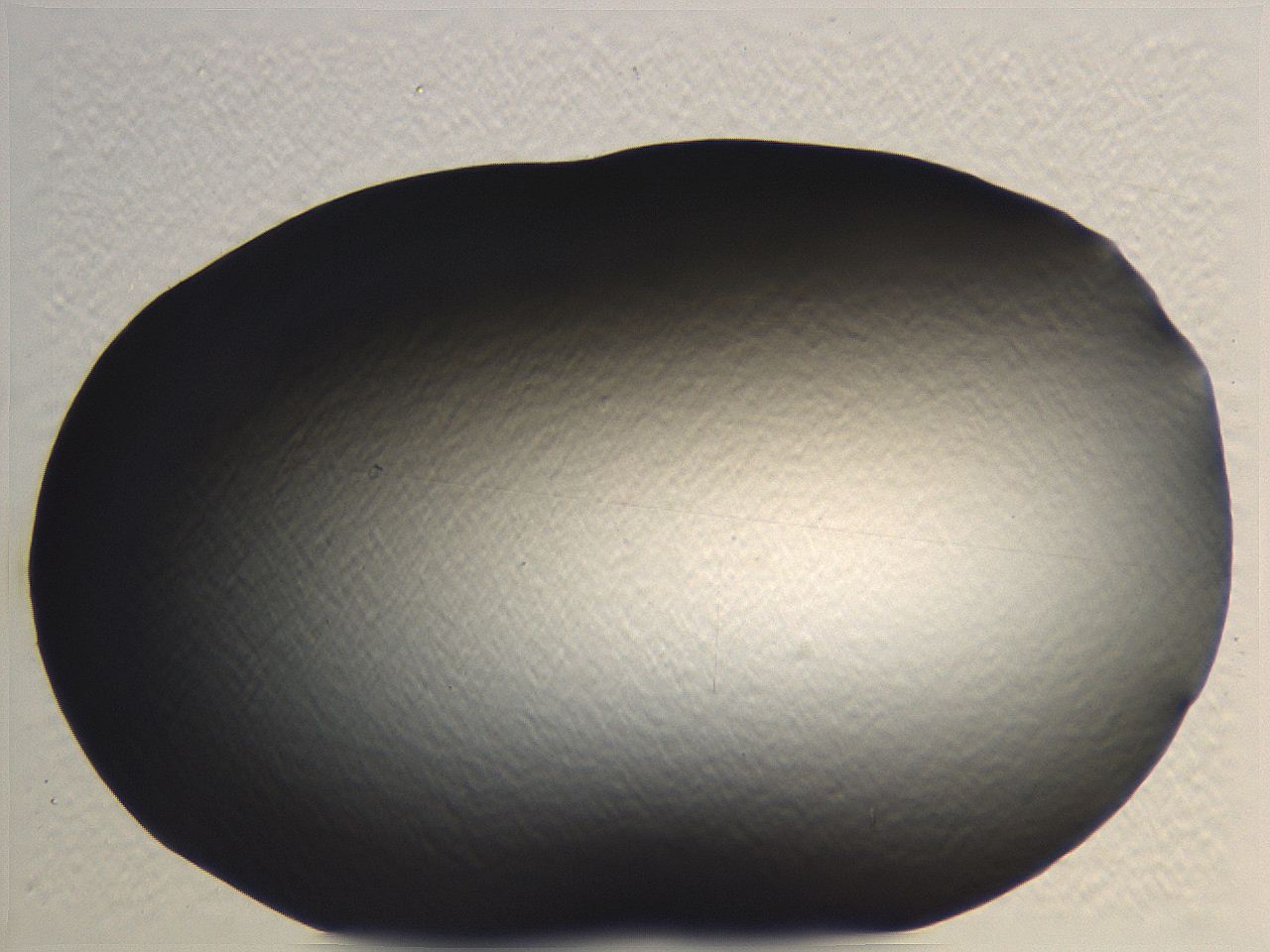 062i_B1_ImagerDefaults_0.jpg