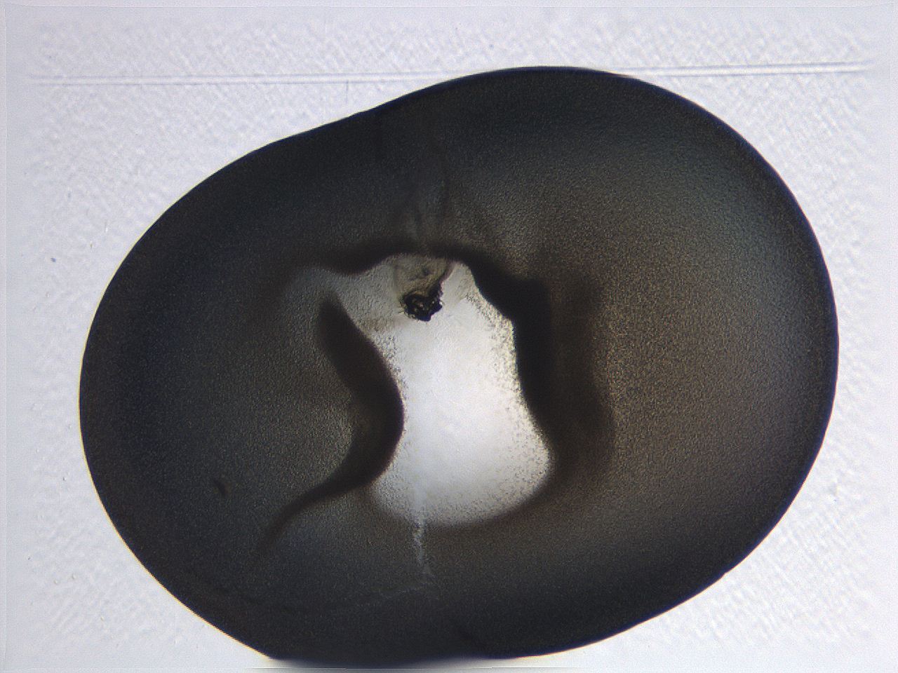 062i_C3_ImagerDefaults_3.jpg