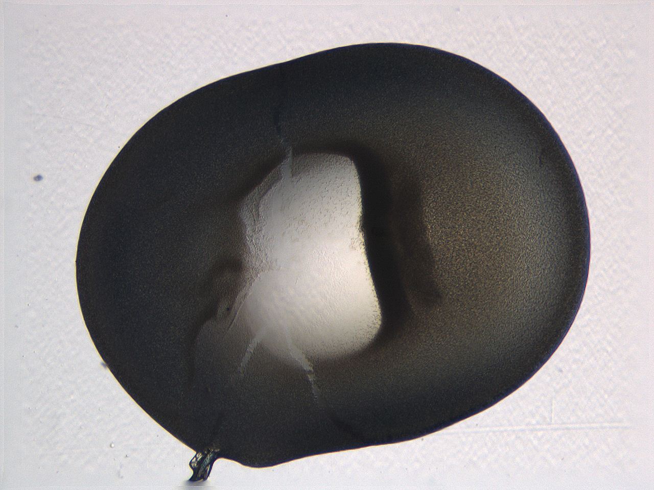 062i_C4_ImagerDefaults_3.jpg