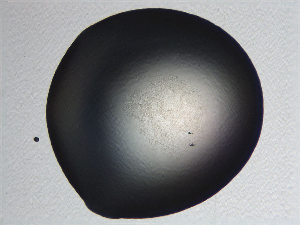 062i_A12_ImagerDefaults_0.jpg
