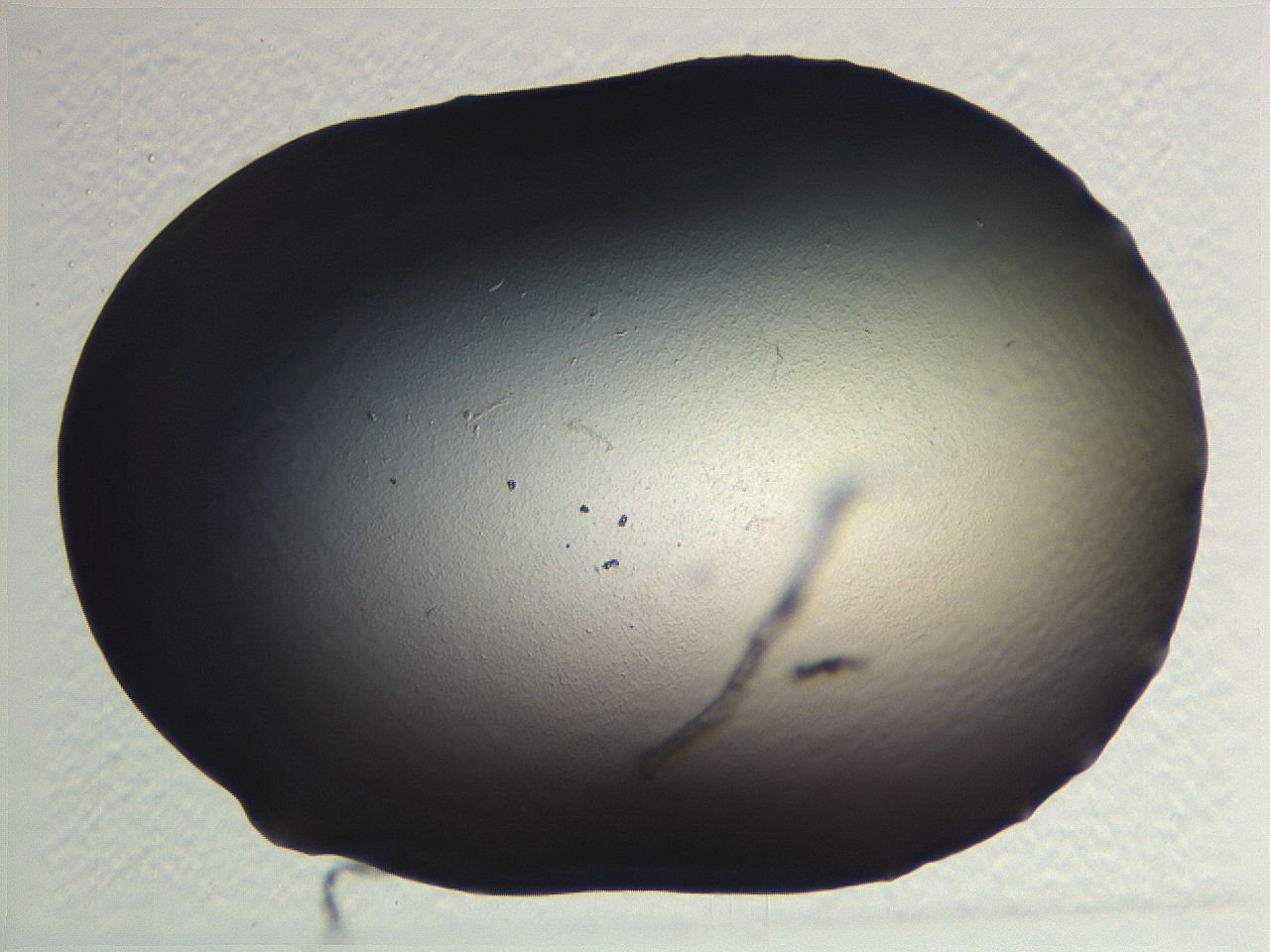 062i_A9_ImagerDefaults_0.jpg
