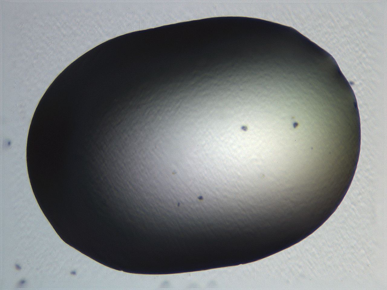 062i_B9_ImagerDefaults_0.jpg