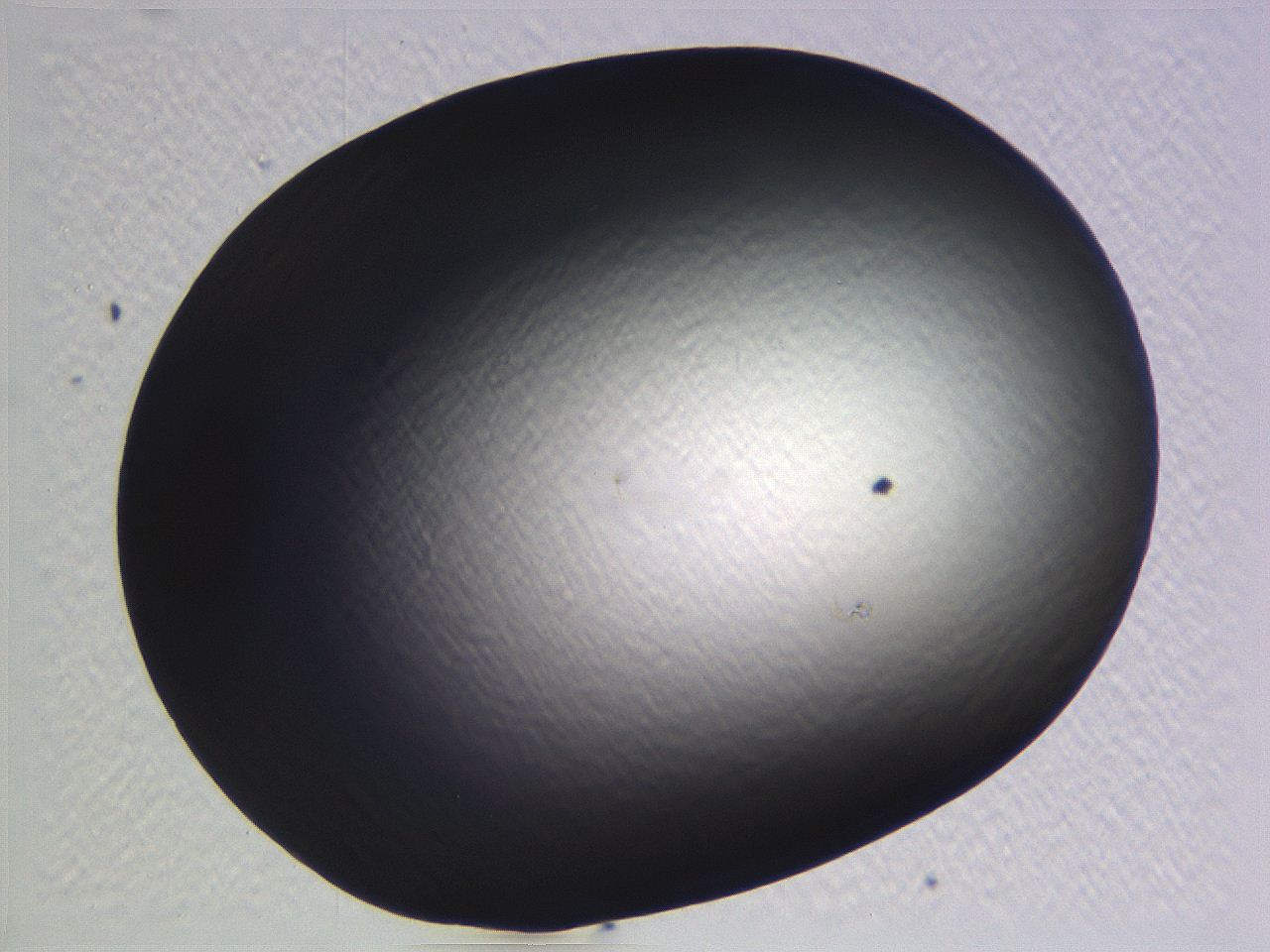 062i_B10_ImagerDefaults_0.jpg