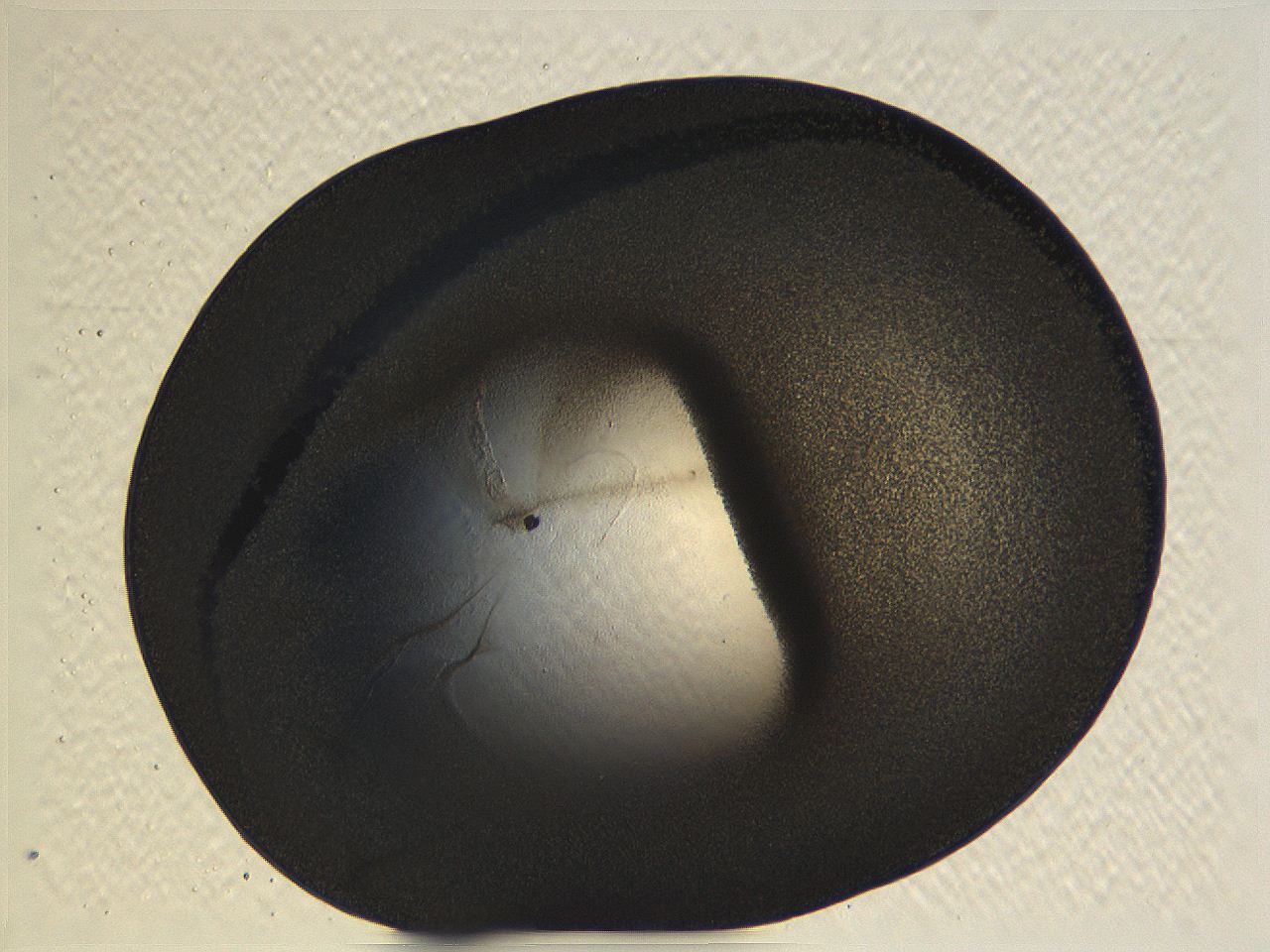 062i_C6_ImagerDefaults_3.jpg