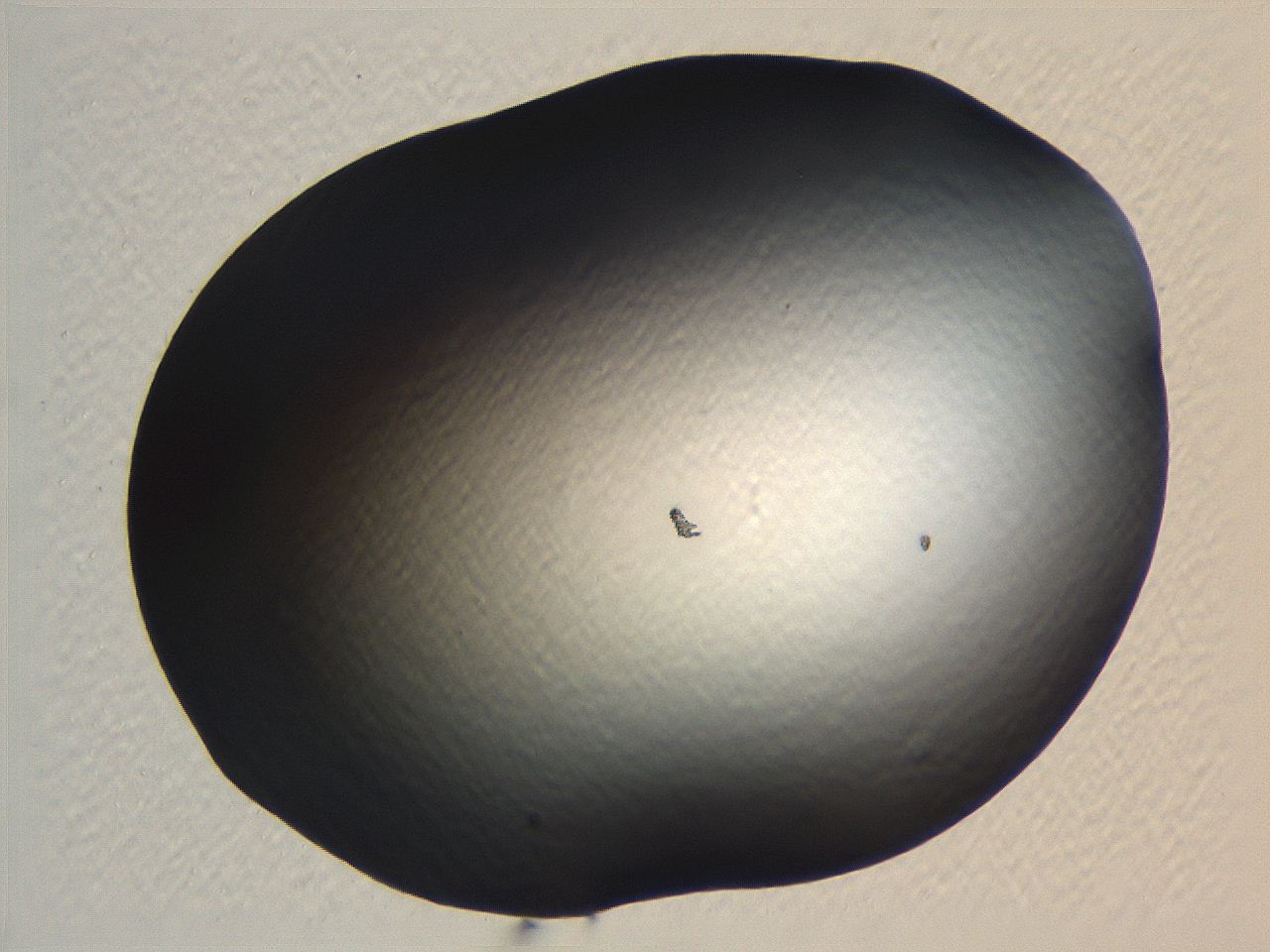 062i_B8_ImagerDefaults_0.jpg