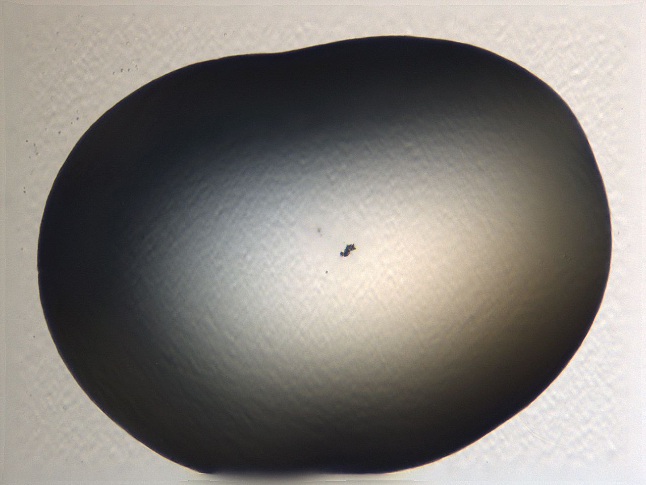 062i_B7_ImagerDefaults_0.jpg