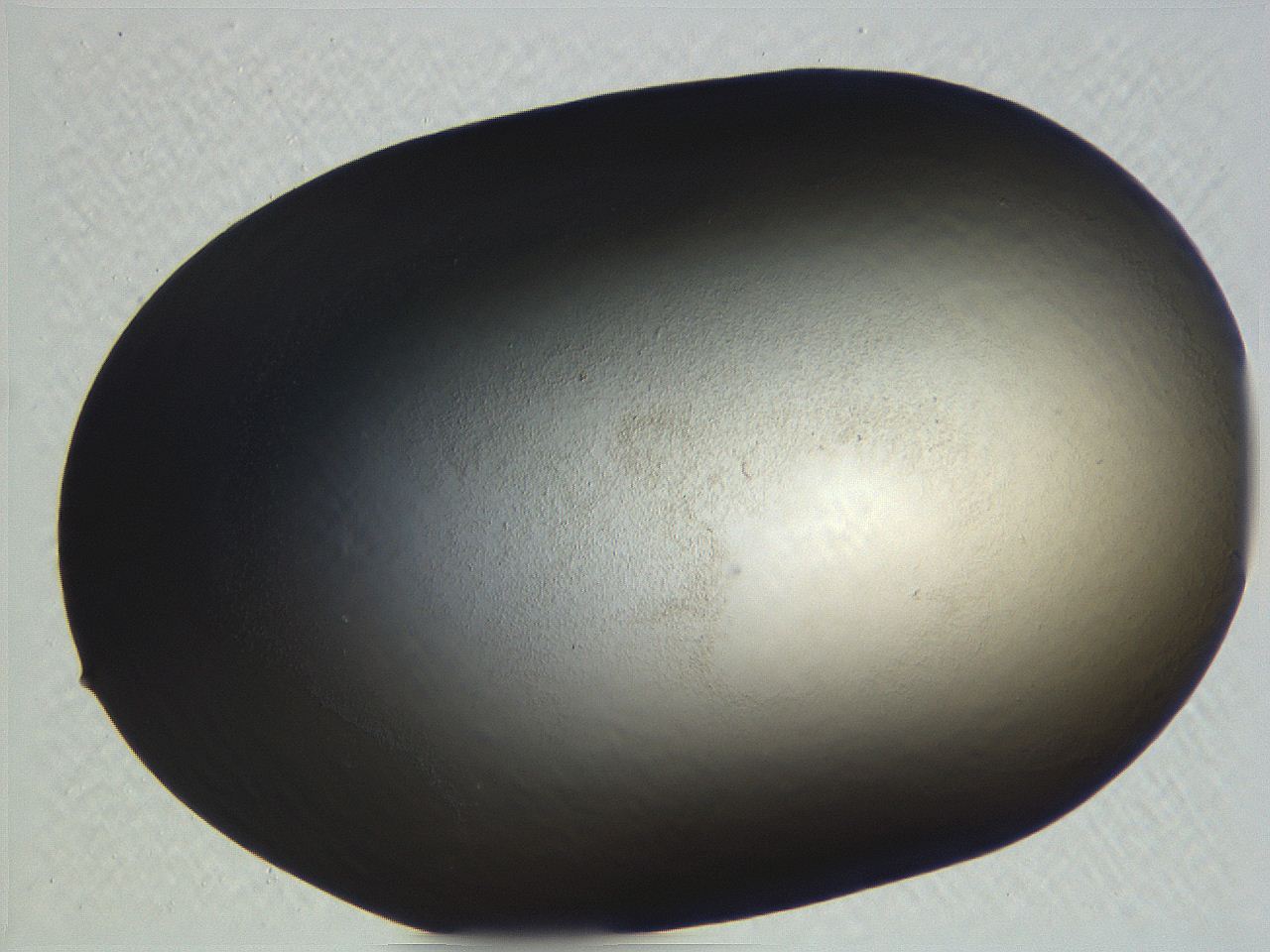 062i_C7_ImagerDefaults_0.jpg