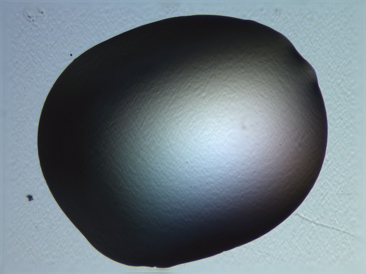 062i_B11_ImagerDefaults_0.jpg