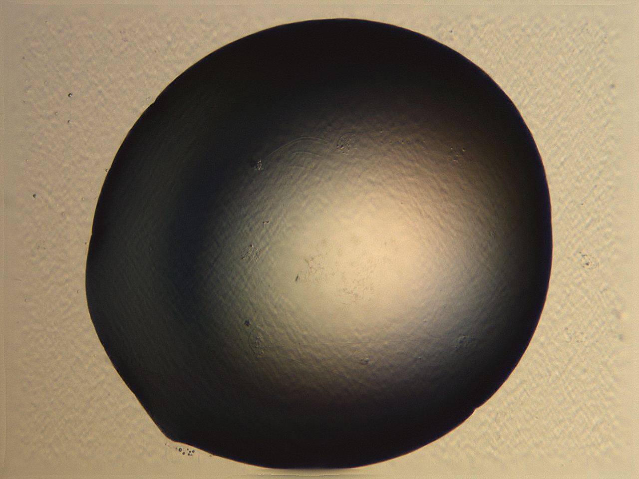 062i_B12_ImagerDefaults_0.jpg